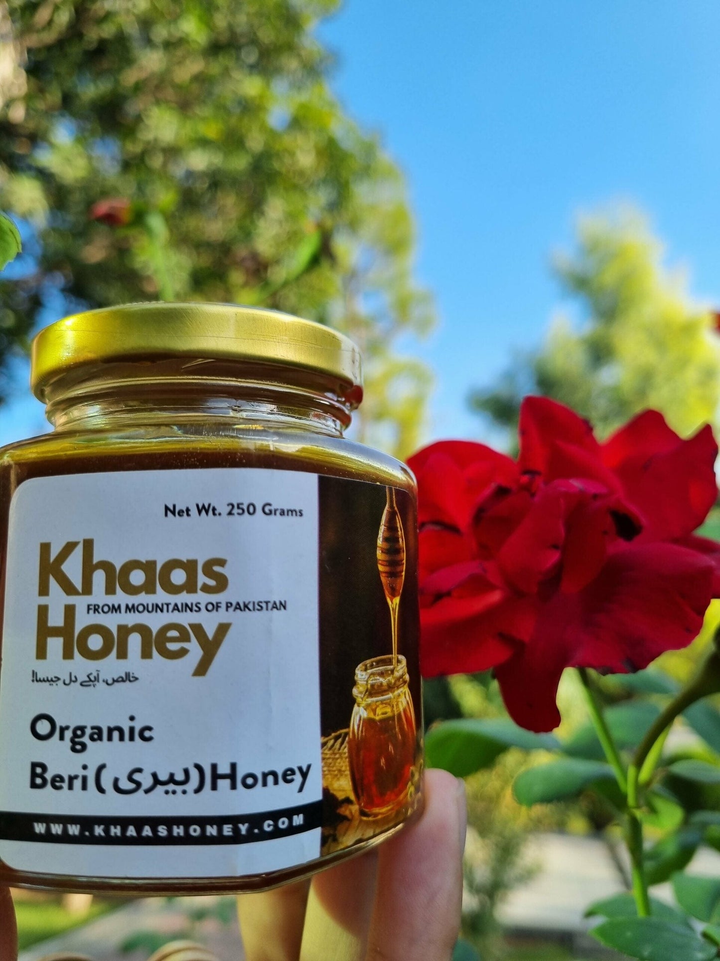 Organic Beri(چھوٹی مکھی)Honey