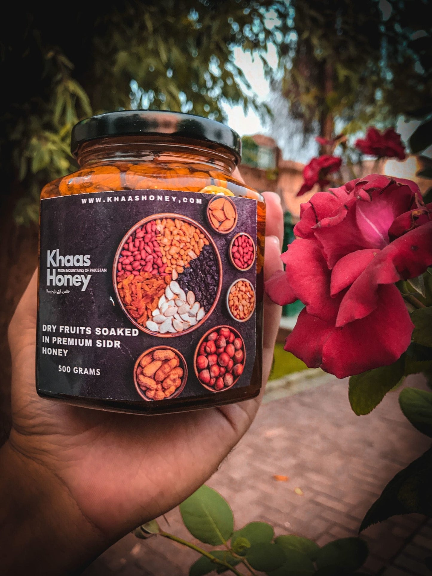 Dry Fruits Soaked in Premium Beri Honey