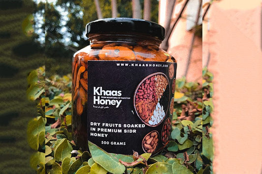 Dry Fruits Soaked in Premium Beri Honey